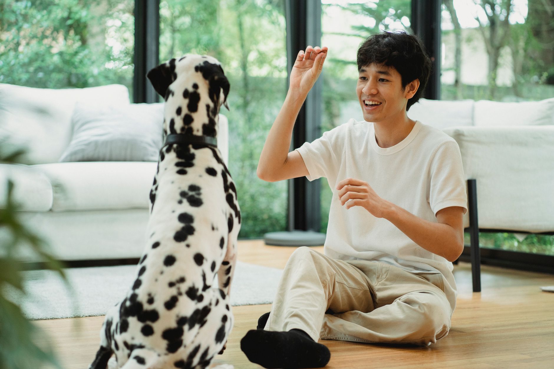 Éduquer son chien avec bienveillance